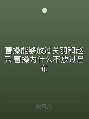 曹操能够放过关羽和赵云 曹操为什么不放过