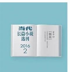 当代·长篇小说2016年2期