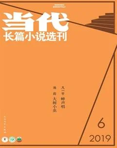当代·长篇小说2019年6期