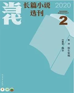 当代·长篇小说2020年2期