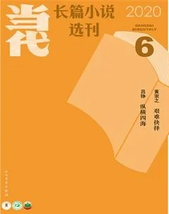 当代·长篇小说2020年6期
