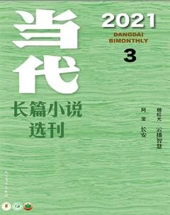 当代·长篇小说2021年3期
