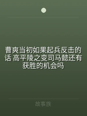 曹爽当初如果起兵反击的话 高平陵之变司马
