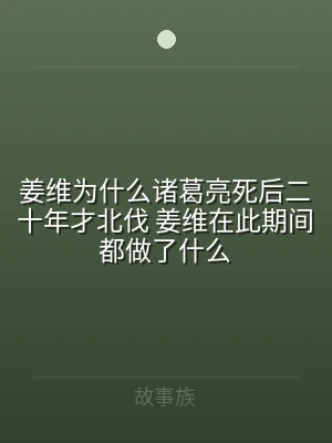 姜维为什么诸葛亮死后二十年才北伐 姜维在
