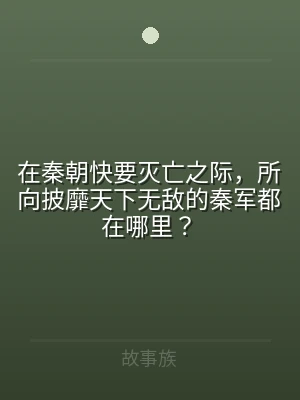 在秦朝快要灭亡之际，所向披靡天下无敌的秦