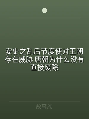 安史之乱后节度使对王朝存在威胁 唐朝为什