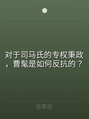 对于司马氏的专权秉政，曹髦是如何反抗的？