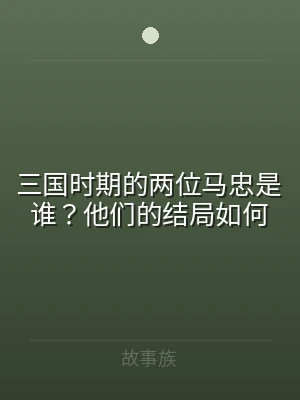三国时期的两位马忠是谁？他们的结局如何