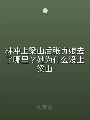 林冲上梁山后张贞娘去了哪里？她为什么没上