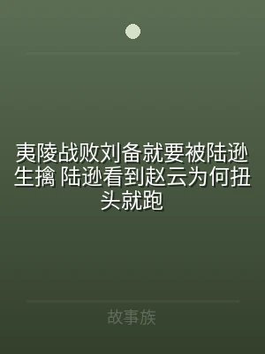 夷陵战败刘备就要被陆逊生擒 陆逊看到赵云