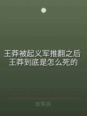 王莽被起义军推翻之后 王莽到底是怎么死的