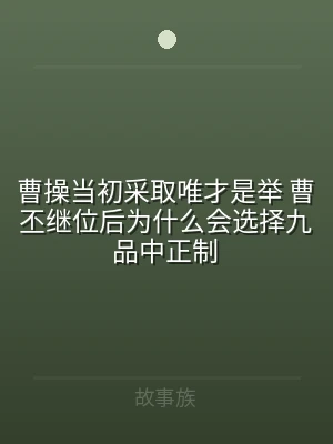曹操当初采取唯才是举 曹丕继位后为什么会