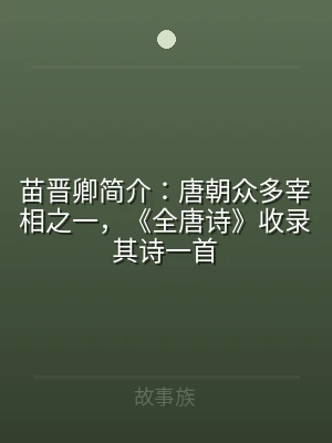 苗晋卿简介：唐朝众多宰相之一，《全唐诗》