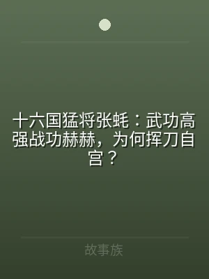 十六国猛将张蚝：武功高强战功赫赫，为何挥