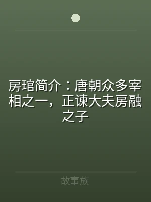 房琯简介：唐朝众多宰相之一，正谏大夫房融