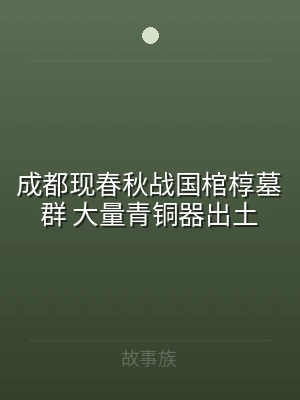 成都现春秋战国棺椁墓群 大量青铜器出土