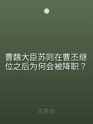 曹魏大臣苏则在曹丕继位之后为何会被降职？