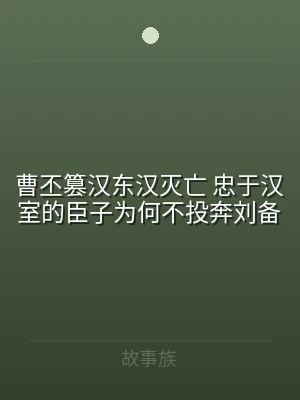 曹丕篡汉东汉灭亡 忠于汉室的臣子为何不投