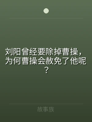 刘阳曾经要除掉曹操，为何曹操会赦免了他呢