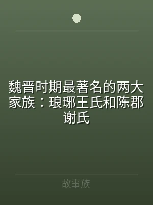 魏晋时期最著名的两大家族：琅琊王氏和陈郡