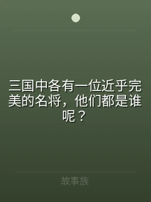 三国中各有一位近乎完美的名将，他们都是谁