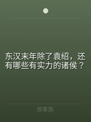 东汉末年除了袁绍，还有哪些有实力的诸侯？
