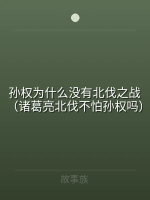 孙权为什么没有北伐之战（诸葛亮北伐不怕孙