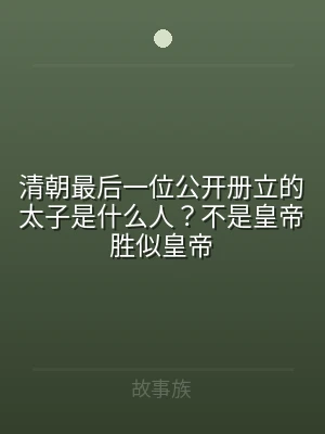 清朝最后一位公开册立的太子是什么人？不是