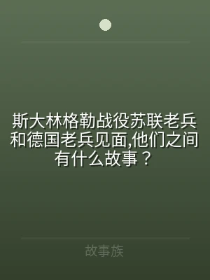 斯大林格勒战役苏联老兵和德国老兵见面,他
