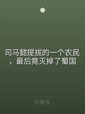 司马懿提拔的一个农民，最后竟灭掉了蜀国