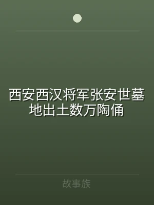 西安西汉将军张安世墓地出土数万陶俑