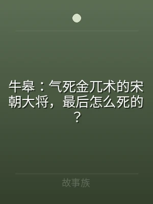 牛皋：气死金兀术的宋朝大将，最后怎么死的
