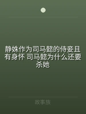静姝作为司马懿的侍妾且有身怀 司马懿为什