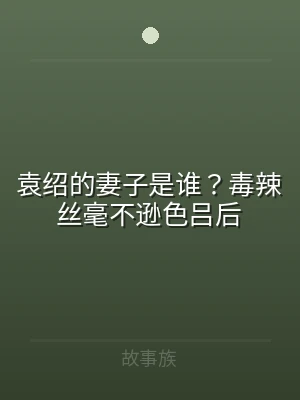 袁绍的妻子是谁？毒辣丝毫不逊色吕后