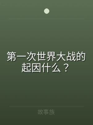 第一次世界大战的起因什么？