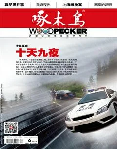 啄木鸟2016年6期