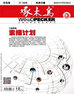 啄木鸟2017年12期