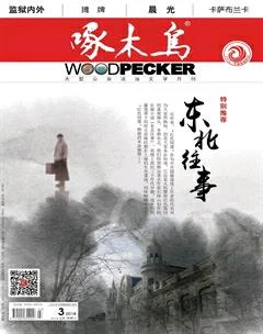 啄木鸟2018年3期