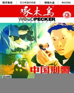 啄木鸟2018年12期