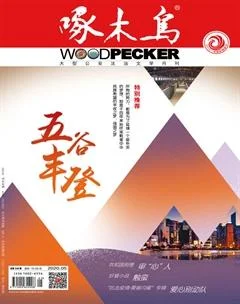 啄木鸟2020年5期