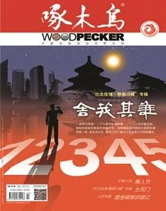 啄木鸟2020年7期