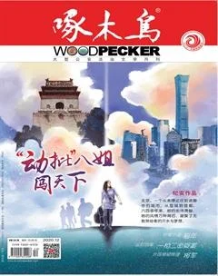 啄木鸟2020年12期
